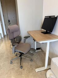 The Avenir (D9), Condominium #573703961